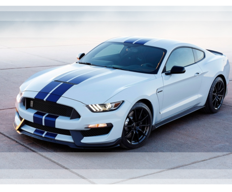 Shelby 500 Shelby 500